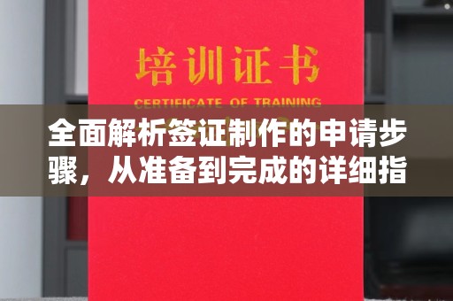 宏伟全面解析签证制作的申请步骤，从准备到完成的详细指南