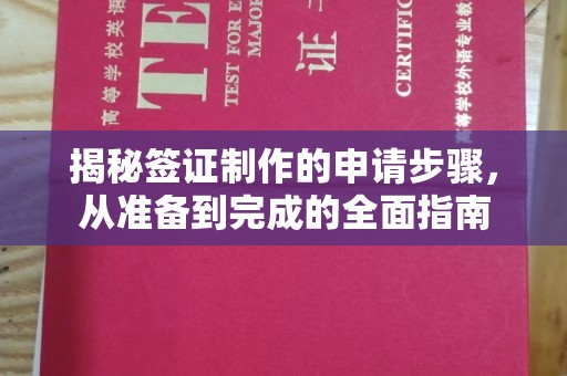 宏伟揭秘签证制作的申请步骤，从准备到完成的全面指南